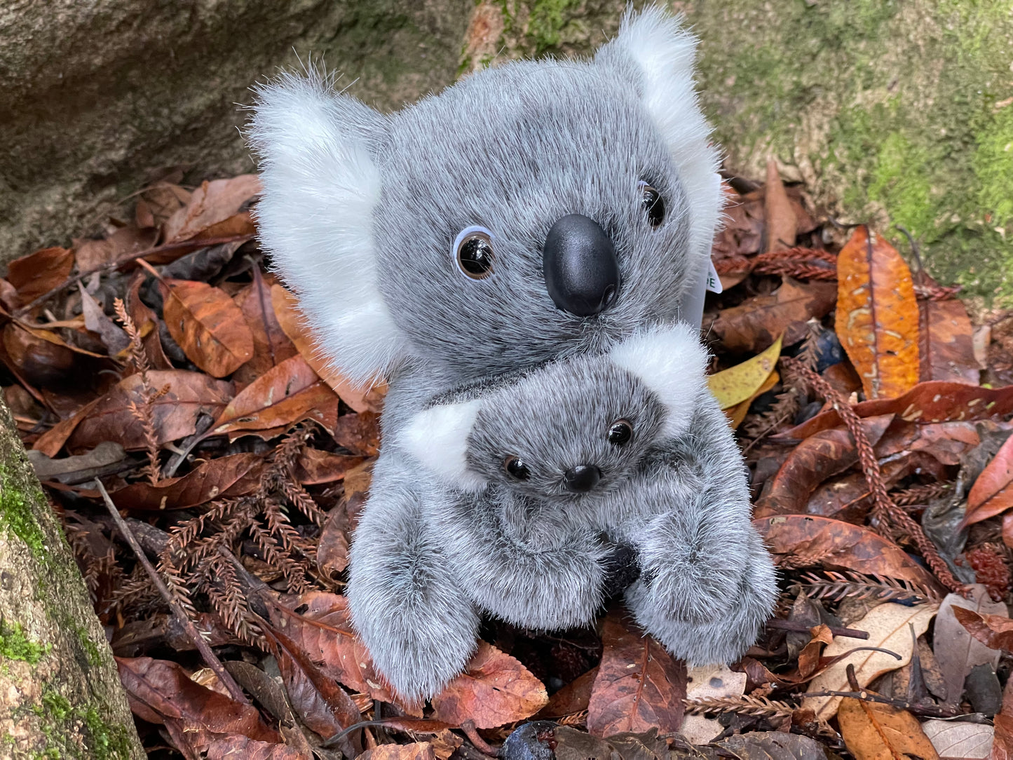 Julie Koala with joey 8"