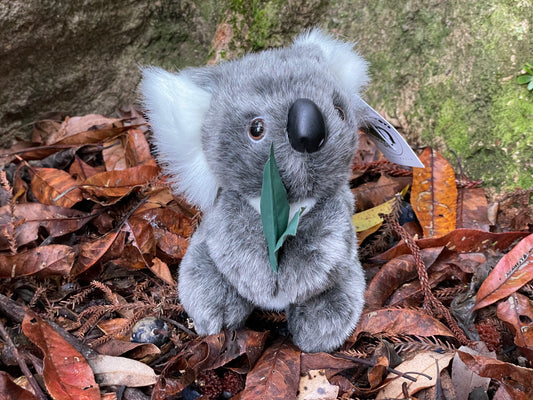 Jackie Koala with gum leaves 7"