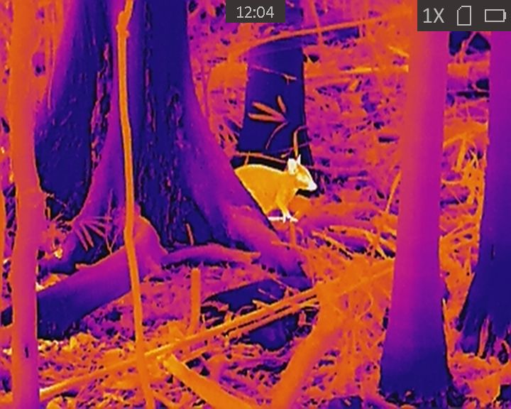 HIKMICRO Lynx Pro LH19 Thermal Monocular