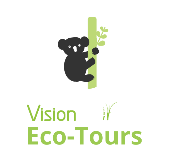 vision walks -eco tours